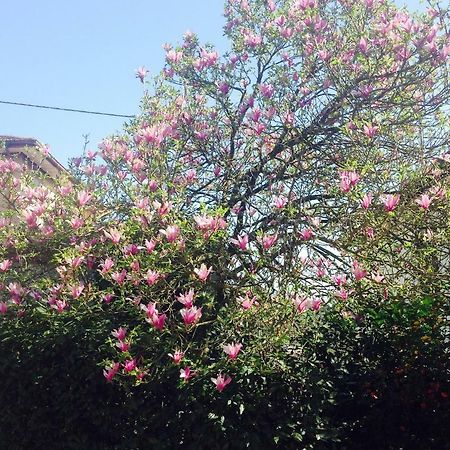Apartamento La Magnolia Riccò del Golfo di Spezia Exterior foto